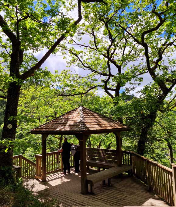 Viewpoint on the Nature Trail walk at Devil's Bridge Waterfalls