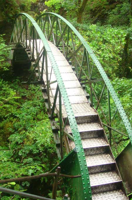 Nature Trail walk at Devil's Bridge Waterfalls