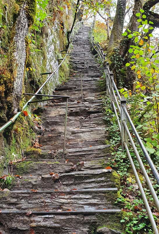 Jacob's Ladder at Devil's Bridge Waterfalls